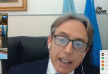 3 Giugno 2021. Audizione del Prof. Michele De Nuntiis presso la Commissione Igiene e sanità del Senato sulla riqualificazione della medicina territoriale post COVID. De Nuntiis al Senato