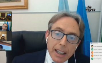 3 Giugno 2021. Audizione del Prof. Michele De Nuntiis presso la Commissione Igiene e sanità del Senato sulla riqualificazione della medicina territoriale post COVID. De Nuntiis al Senato