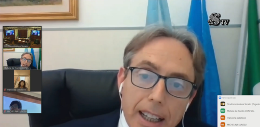 3 Giugno 2021. Audizione del Prof. Michele De Nuntiis presso la Commissione Igiene e sanità del Senato sulla riqualificazione della medicina territoriale post COVID. De Nuntiis al Senato