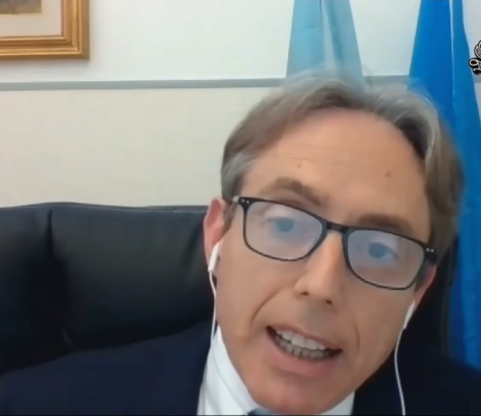 3 Giugno 2021. Audizione del Prof. Michele De Nuntiis presso la Commissione Igiene e sanità del Senato sulla riqualificazione della medicina territoriale post COVID. De Nuntiis al Senato